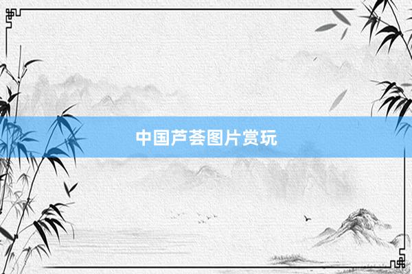 中国芦荟图片赏玩
