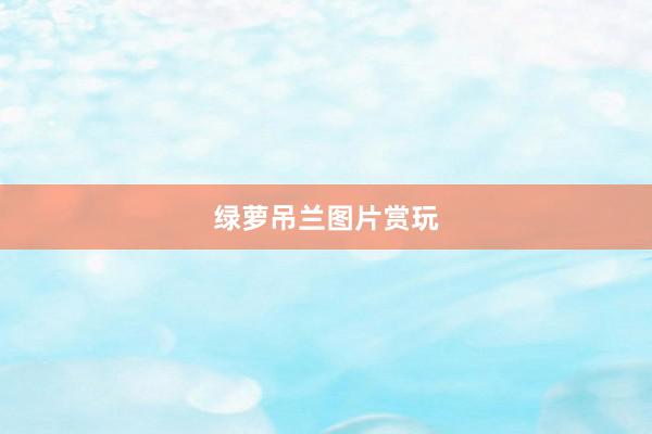 绿萝吊兰图片赏玩