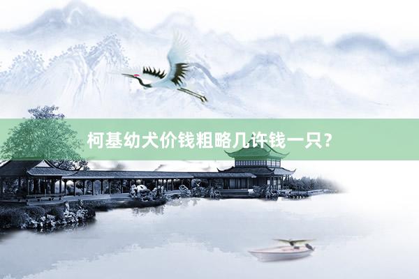 柯基幼犬价钱粗略几许钱一只?