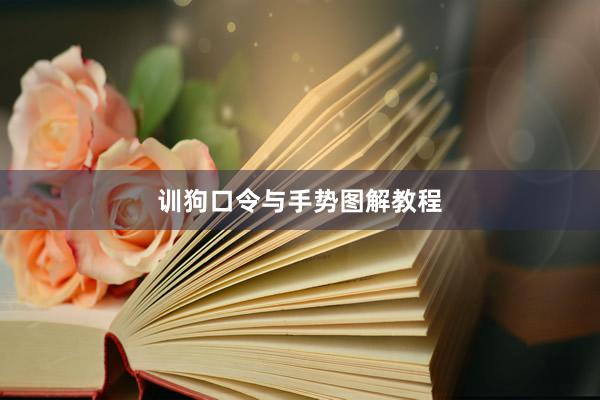 训狗口令与手势图解教程
