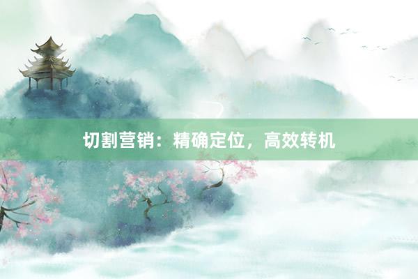 切割营销：精确定位，高效转机